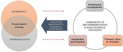 Seeds of Transformative Learning: Investigating Past Experiences From Implementing Nature-Based Solutions